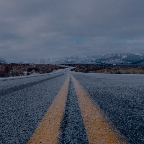 Meet your Posher, Dakota - Picture 1 of 1